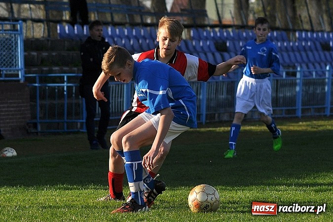 Zdjęcie w galerii na portalu naszraciborz.pl: Młodziki: Trzy punkty zostały w Raciborzu wiadomości z regionu