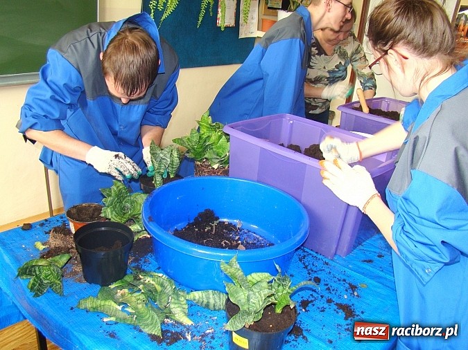 Zdjęcie w galerii na portalu naszraciborz.pl: Kolorowa wiosna w Zespole Szkół Specjalnych w Raciborzu wiadomości z regionu