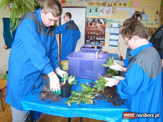 Zdjęcie w galerii na portalu naszraciborz.pl: Kolorowa wiosna w Zespole Szkół Specjalnych w Raciborzu wiadomości z regionu