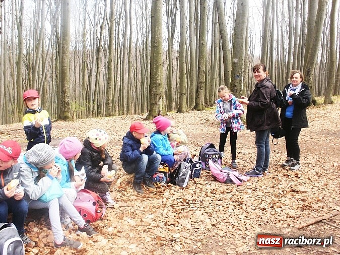 Zdjęcie w galerii na portalu naszraciborz.pl: Ekologia i ekoludki z Kuźni Raciborskiej wiadomości z regionu
