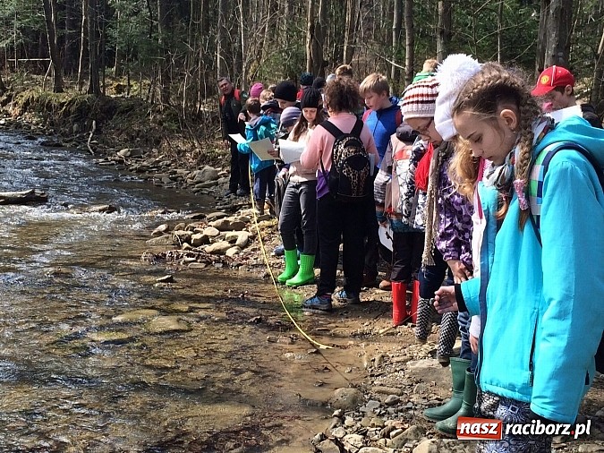 Zdjęcie w galerii na portalu naszraciborz.pl: Uczniowie z Nędzy z misją - przyroda w Babiogórskim Parku Narodowym  wiadomości z regionu