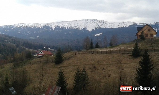 Zdjęcie w galerii na portalu naszraciborz.pl: Uczniowie z Nędzy z misją - przyroda w Babiogórskim Parku Narodowym  wiadomości z regionu