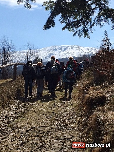 Zdjęcie w galerii na portalu naszraciborz.pl: Uczniowie z Nędzy z misją - przyroda w Babiogórskim Parku Narodowym  wiadomości z regionu