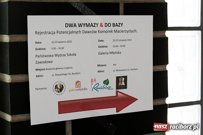 Zdjęcie w galerii na portalu naszraciborz.pl: 57 osób w Raciborzu dołączyło do grona potencjalnych dawców szpiku! wiadomości z regionu