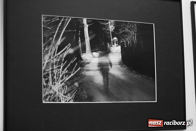 Zdjęcie w galerii na portalu naszraciborz.pl: Żywioły Natury w Galerii Czarny Kot wiadomości z regionu