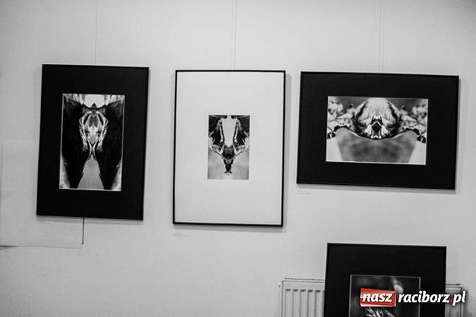 Zdjęcie w galerii na portalu naszraciborz.pl: Żywioły Natury w Galerii Czarny Kot wiadomości z regionu