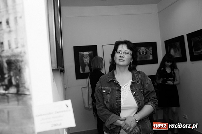 Zdjęcie w galerii na portalu naszraciborz.pl: Żywioły Natury w Galerii Czarny Kot wiadomości z regionu