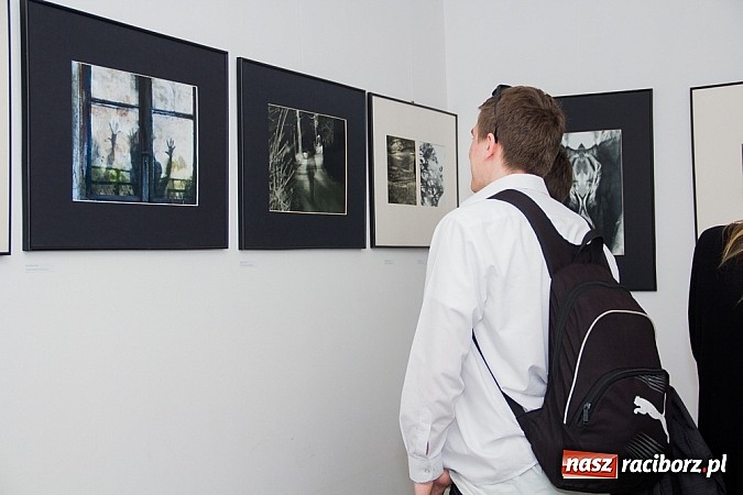 Zdjęcie w galerii na portalu naszraciborz.pl: Żywioły Natury w Galerii Czarny Kot wiadomości z regionu
