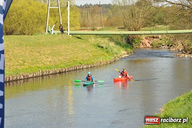 Zdjęcie w galerii na portalu naszraciborz.pl: Rekordowe VI Wielkie Sprzątanie Rzeki Rudy z Podróżnikiem Roku National Geographic wiadomości z regionu