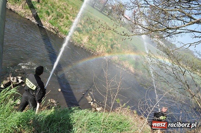 Zdjęcie w galerii na portalu naszraciborz.pl: Rekordowe VI Wielkie Sprzątanie Rzeki Rudy z Podróżnikiem Roku National Geographic wiadomości z regionu
