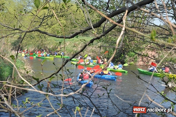 Zdjęcie w galerii na portalu naszraciborz.pl: Rekordowe VI Wielkie Sprzątanie Rzeki Rudy z Podróżnikiem Roku National Geographic wiadomości z regionu