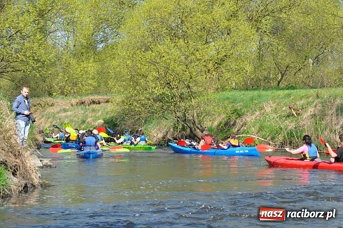 Zdjęcie w galerii na portalu naszraciborz.pl: Rekordowe VI Wielkie Sprzątanie Rzeki Rudy z Podróżnikiem Roku National Geographic wiadomości z regionu