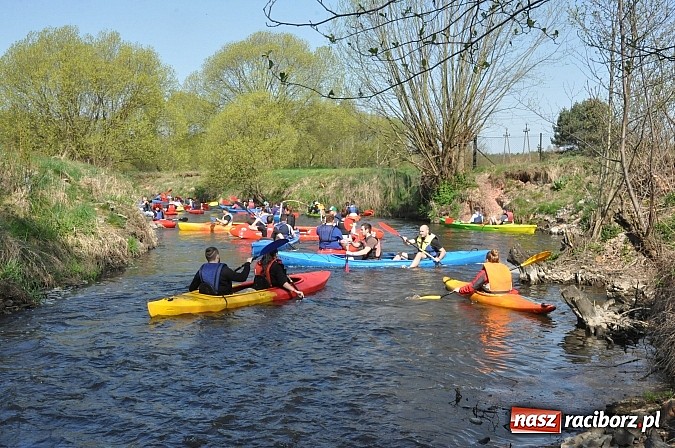 Zdjęcie w galerii na portalu naszraciborz.pl: Rekordowe VI Wielkie Sprzątanie Rzeki Rudy z Podróżnikiem Roku National Geographic wiadomości z regionu