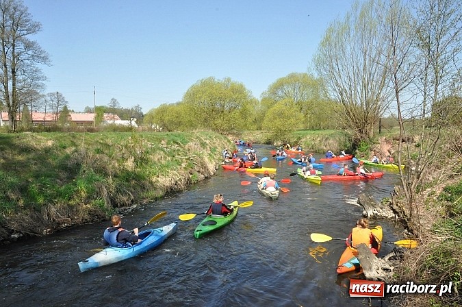 Zdjęcie w galerii na portalu naszraciborz.pl: Rekordowe VI Wielkie Sprzątanie Rzeki Rudy z Podróżnikiem Roku National Geographic wiadomości z regionu