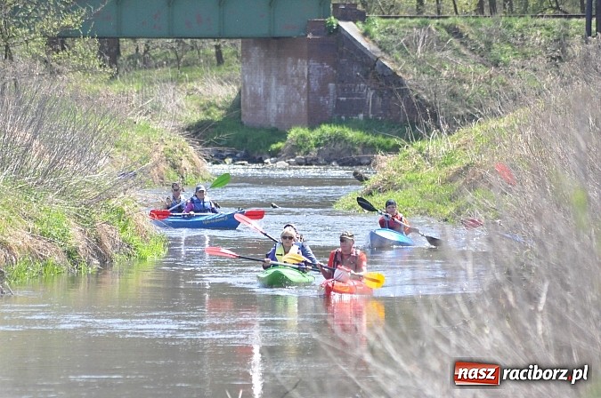 Zdjęcie w galerii na portalu naszraciborz.pl: Rekordowe VI Wielkie Sprzątanie Rzeki Rudy z Podróżnikiem Roku National Geographic wiadomości z regionu