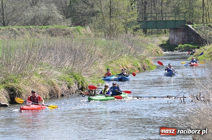 Zdjęcie w galerii na portalu naszraciborz.pl: Rekordowe VI Wielkie Sprzątanie Rzeki Rudy z Podróżnikiem Roku National Geographic wiadomości z regionu