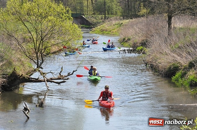 Zdjęcie w galerii na portalu naszraciborz.pl: Rekordowe VI Wielkie Sprzątanie Rzeki Rudy z Podróżnikiem Roku National Geographic wiadomości z regionu
