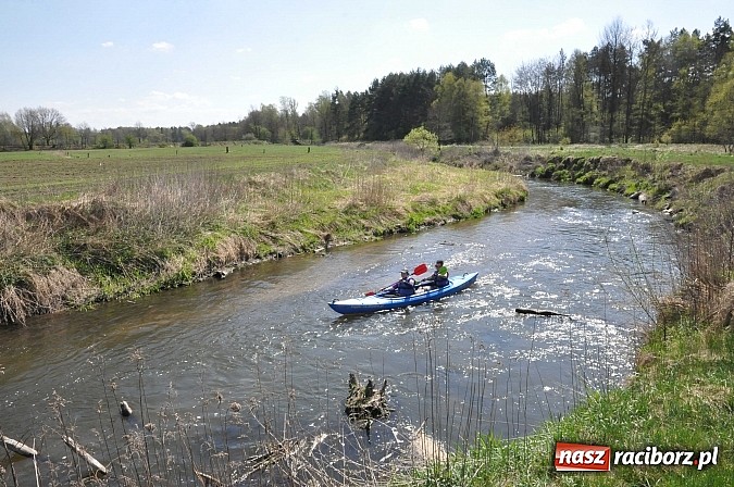 Zdjęcie w galerii na portalu naszraciborz.pl: Rekordowe VI Wielkie Sprzątanie Rzeki Rudy z Podróżnikiem Roku National Geographic wiadomości z regionu