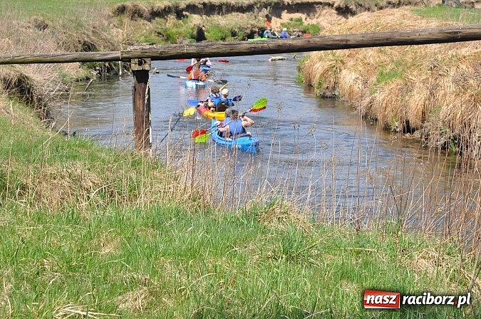Zdjęcie w galerii na portalu naszraciborz.pl: Rekordowe VI Wielkie Sprzątanie Rzeki Rudy z Podróżnikiem Roku National Geographic wiadomości z regionu