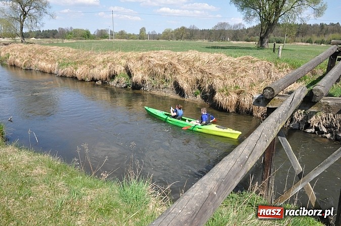 Zdjęcie w galerii na portalu naszraciborz.pl: Rekordowe VI Wielkie Sprzątanie Rzeki Rudy z Podróżnikiem Roku National Geographic wiadomości z regionu