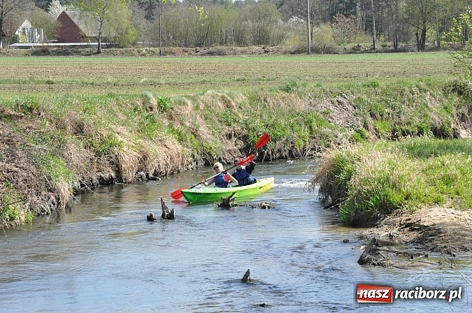 Zdjęcie w galerii na portalu naszraciborz.pl: Rekordowe VI Wielkie Sprzątanie Rzeki Rudy z Podróżnikiem Roku National Geographic wiadomości z regionu