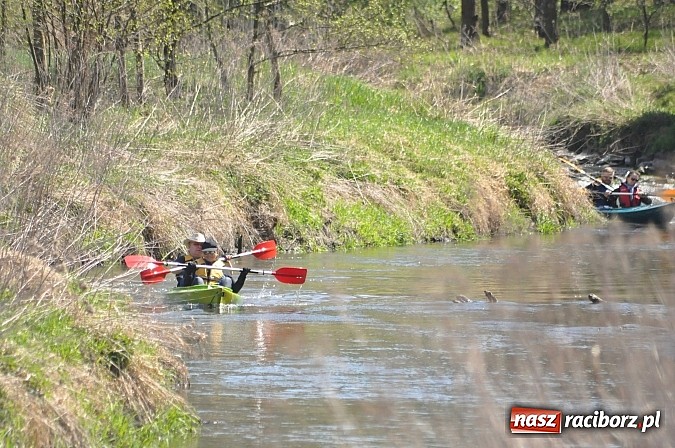 Zdjęcie w galerii na portalu naszraciborz.pl: Rekordowe VI Wielkie Sprzątanie Rzeki Rudy z Podróżnikiem Roku National Geographic wiadomości z regionu