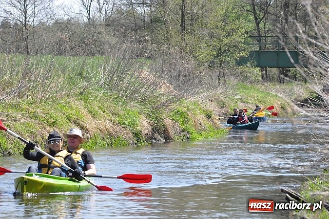 Zdjęcie w galerii na portalu naszraciborz.pl: Rekordowe VI Wielkie Sprzątanie Rzeki Rudy z Podróżnikiem Roku National Geographic wiadomości z regionu