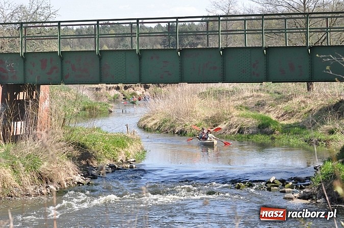 Zdjęcie w galerii na portalu naszraciborz.pl: Rekordowe VI Wielkie Sprzątanie Rzeki Rudy z Podróżnikiem Roku National Geographic wiadomości z regionu