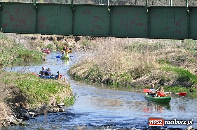 Zdjęcie w galerii na portalu naszraciborz.pl: Rekordowe VI Wielkie Sprzątanie Rzeki Rudy z Podróżnikiem Roku National Geographic wiadomości z regionu