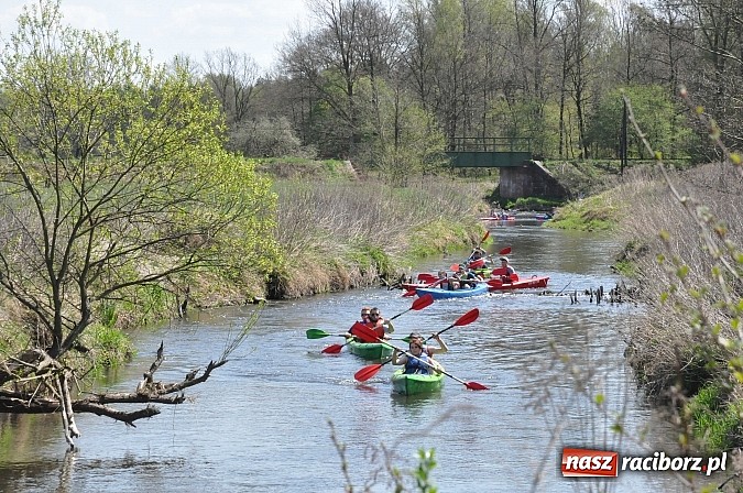 Zdjęcie w galerii na portalu naszraciborz.pl: Rekordowe VI Wielkie Sprzątanie Rzeki Rudy z Podróżnikiem Roku National Geographic wiadomości z regionu