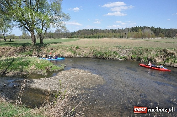 Zdjęcie w galerii na portalu naszraciborz.pl: Rekordowe VI Wielkie Sprzątanie Rzeki Rudy z Podróżnikiem Roku National Geographic wiadomości z regionu