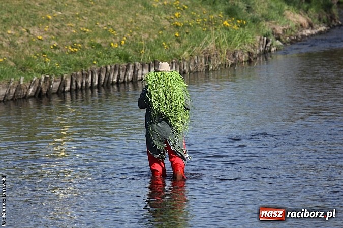 Zdjęcie w galerii na portalu naszraciborz.pl: VI Sprzątanie Rzeki Rudy - znajdź się na zdjęciu wiadomości z regionu