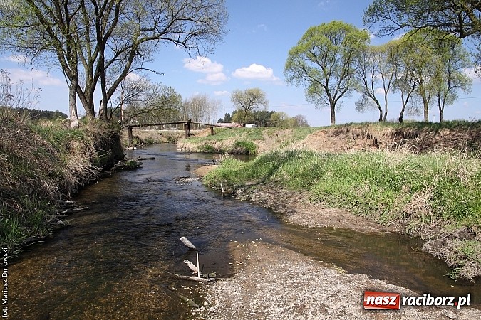 Zdjęcie w galerii na portalu naszraciborz.pl: VI Sprzątanie Rzeki Rudy - znajdź się na zdjęciu wiadomości z regionu