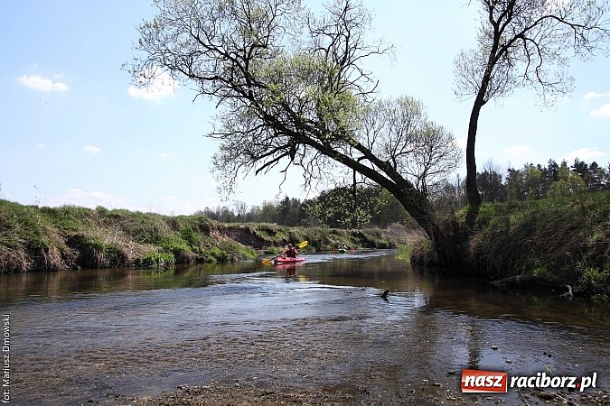 Zdjęcie w galerii na portalu naszraciborz.pl: VI Sprzątanie Rzeki Rudy - znajdź się na zdjęciu wiadomości z regionu