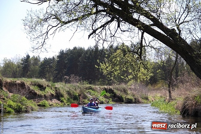 Zdjęcie w galerii na portalu naszraciborz.pl: VI Sprzątanie Rzeki Rudy - znajdź się na zdjęciu wiadomości z regionu