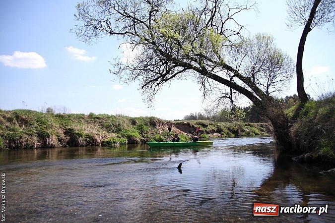 Zdjęcie w galerii na portalu naszraciborz.pl: VI Sprzątanie Rzeki Rudy - znajdź się na zdjęciu wiadomości z regionu