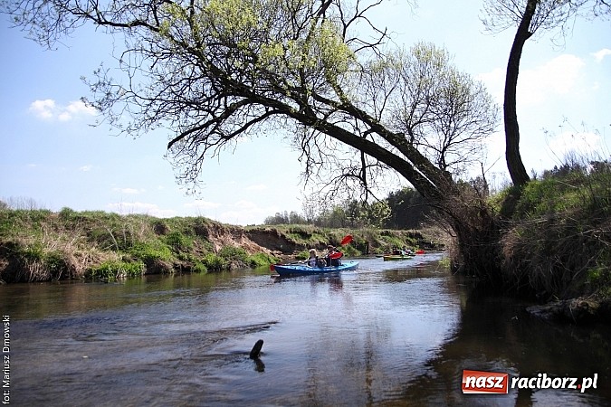 Zdjęcie w galerii na portalu naszraciborz.pl: VI Sprzątanie Rzeki Rudy - znajdź się na zdjęciu wiadomości z regionu