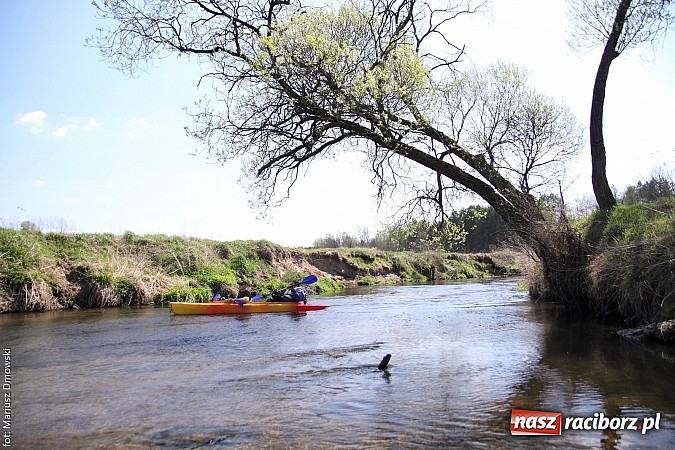 Zdjęcie w galerii na portalu naszraciborz.pl: VI Sprzątanie Rzeki Rudy - znajdź się na zdjęciu wiadomości z regionu