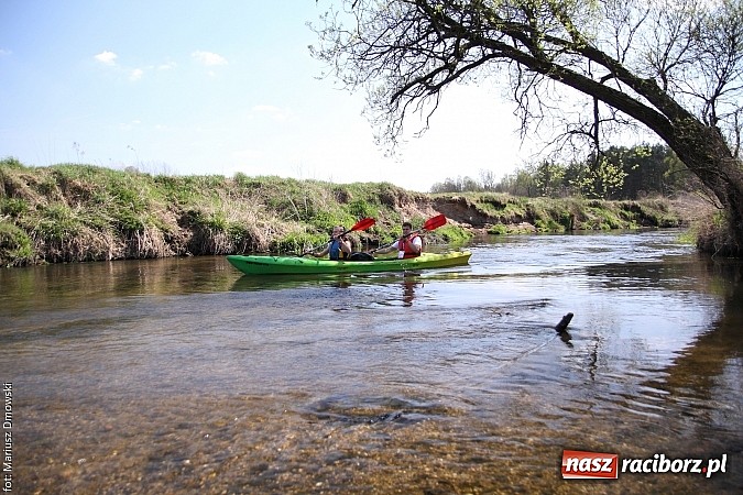 Zdjęcie w galerii na portalu naszraciborz.pl: VI Sprzątanie Rzeki Rudy - znajdź się na zdjęciu wiadomości z regionu