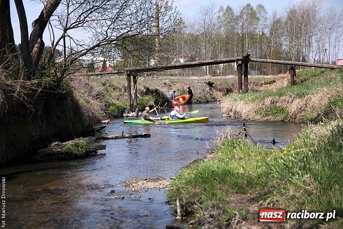 Zdjęcie w galerii na portalu naszraciborz.pl: VI Sprzątanie Rzeki Rudy - znajdź się na zdjęciu wiadomości z regionu