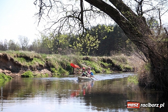 Zdjęcie w galerii na portalu naszraciborz.pl: VI Sprzątanie Rzeki Rudy - znajdź się na zdjęciu wiadomości z regionu