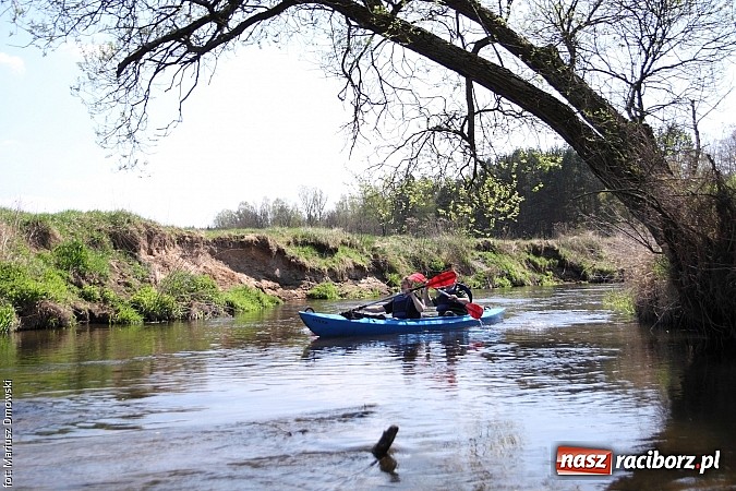 Zdjęcie w galerii na portalu naszraciborz.pl: VI Sprzątanie Rzeki Rudy - znajdź się na zdjęciu wiadomości z regionu