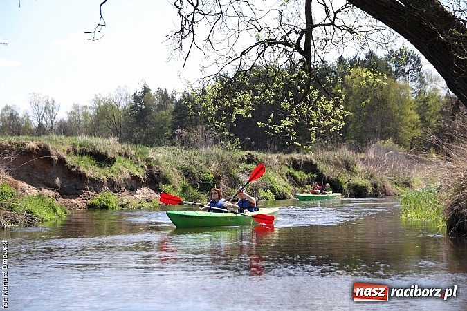 Zdjęcie w galerii na portalu naszraciborz.pl: VI Sprzątanie Rzeki Rudy - znajdź się na zdjęciu wiadomości z regionu