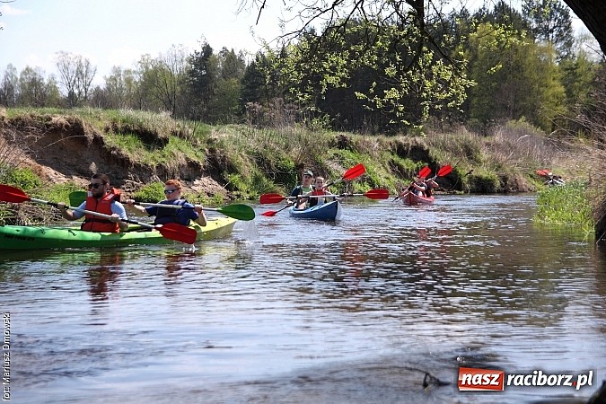 Zdjęcie w galerii na portalu naszraciborz.pl: VI Sprzątanie Rzeki Rudy - znajdź się na zdjęciu wiadomości z regionu