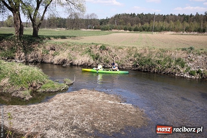 Zdjęcie w galerii na portalu naszraciborz.pl: VI Sprzątanie Rzeki Rudy - znajdź się na zdjęciu wiadomości z regionu
