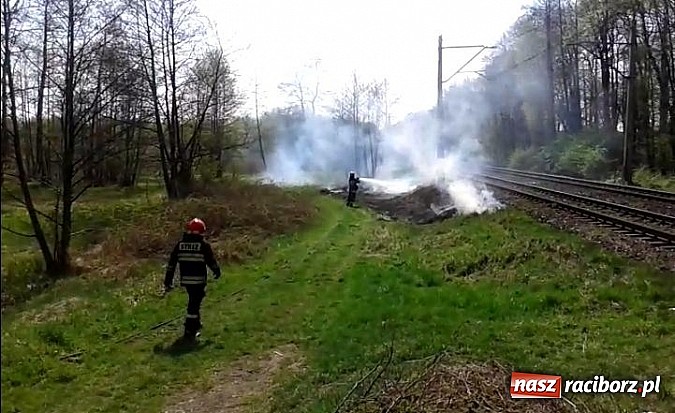 Zdjęcie w galerii na portalu naszraciborz.pl: Uczniowie podczas wycieczki dostrzegli pożar przy Łężczoku  wiadomości z regionu