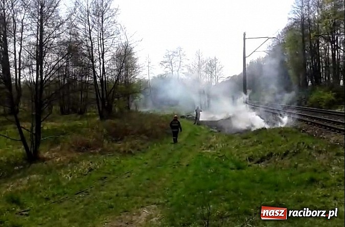 Zdjęcie w galerii na portalu naszraciborz.pl: Uczniowie podczas wycieczki dostrzegli pożar przy Łężczoku  wiadomości z regionu
