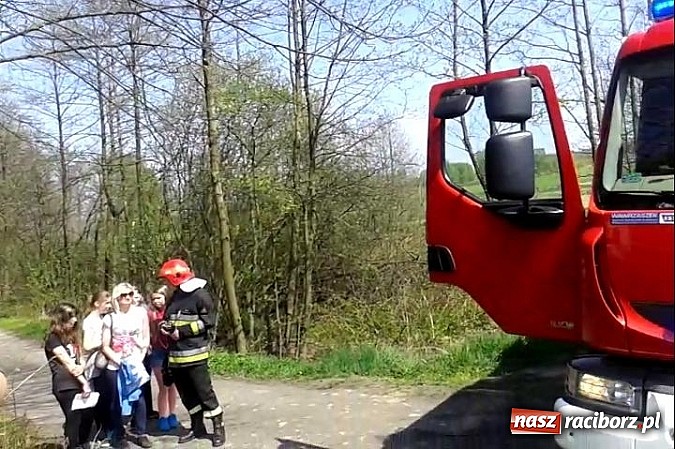 Zdjęcie w galerii na portalu naszraciborz.pl: Uczniowie podczas wycieczki dostrzegli pożar przy Łężczoku  wiadomości z regionu