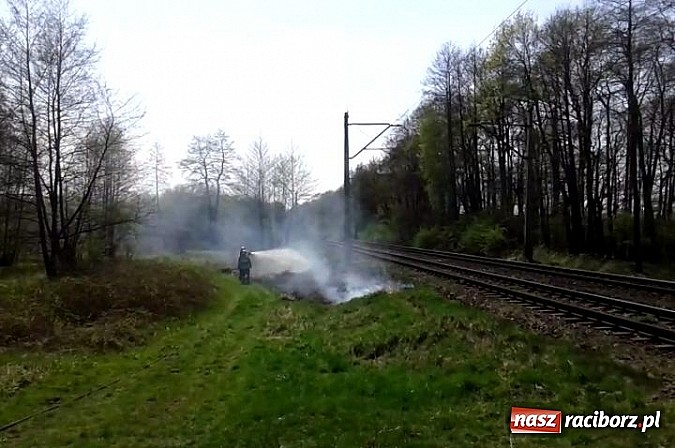Zdjęcie w galerii na portalu naszraciborz.pl: Uczniowie podczas wycieczki dostrzegli pożar przy Łężczoku  wiadomości z regionu