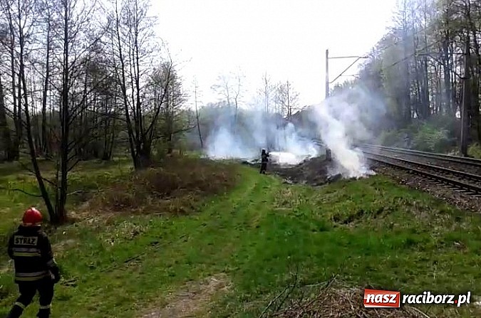 Zdjęcie w galerii na portalu naszraciborz.pl: Uczniowie podczas wycieczki dostrzegli pożar przy Łężczoku  wiadomości z regionu